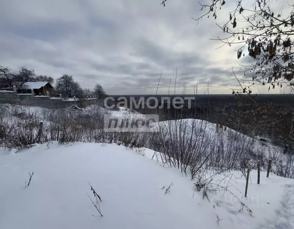 Участок в Брянская область, Брянский район, Супоневское с/пос, с. ... - Фото 1