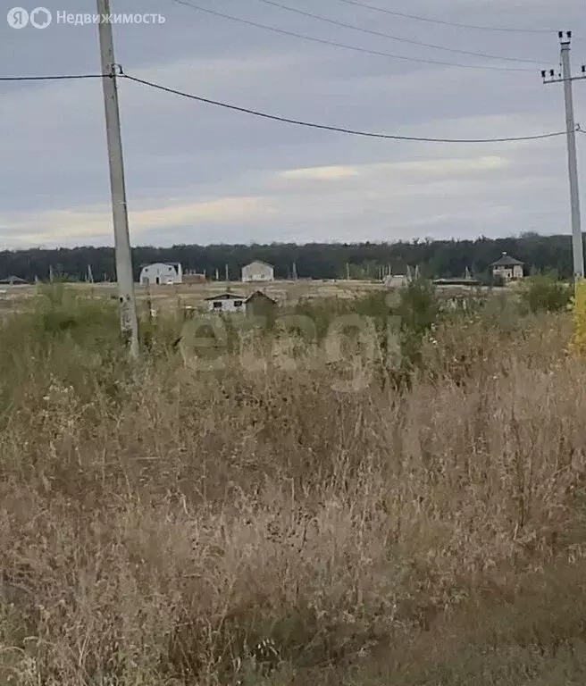 Участок в Семилуки, Лесная улица (10 м) - Фото 2