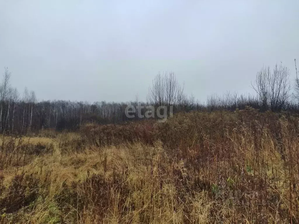 Участок в Хабаровский край, Хабаровский район, Вихрь СНТ  (6.0 сот.) - Фото 1