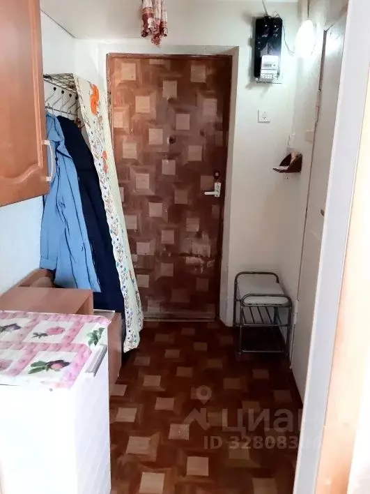 1-к кв. Владимирская область, Гороховец ул. Льва Толстого, 41 (27.4 м) - Фото 2