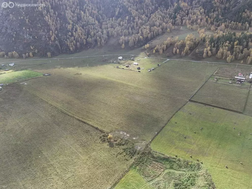 Участок в Чемальский район, село Аюла, Центральная улица (10 м) - Фото 1