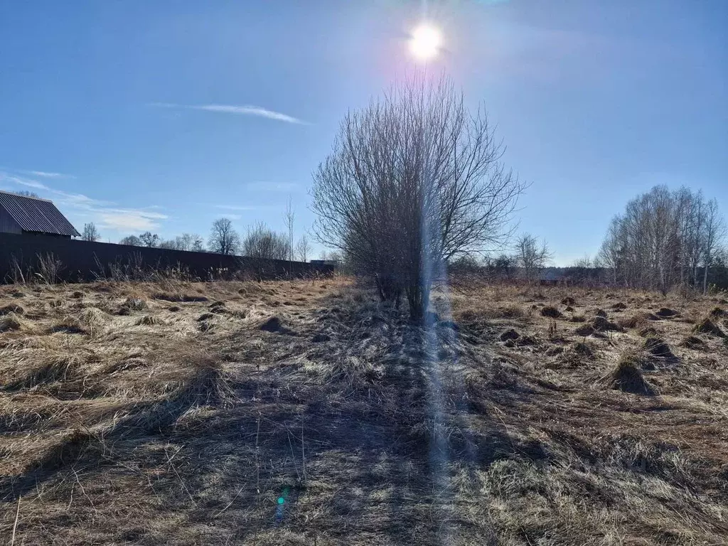 Участок в Московская область, Ступино городской округ, д. Щербинино  ... - Фото 0