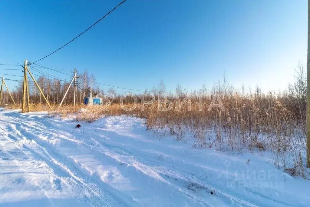 Участок в Тюменская область, Тюмень Большое Царево-1 СНТ,  (10.0 сот.) - Фото 2