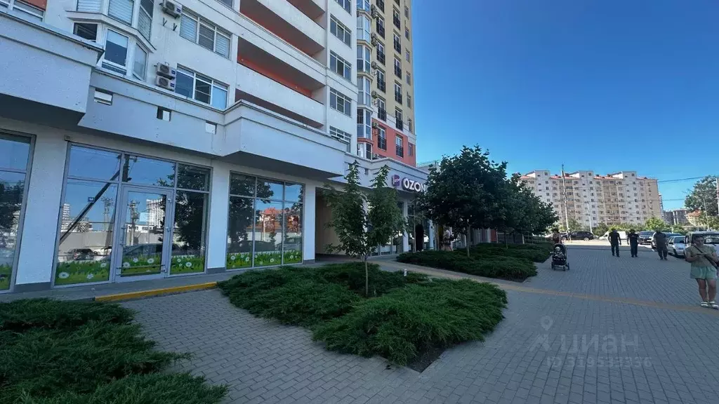 Помещение свободного назначения в Краснодарский край, Анапа ш. ... - Фото 0