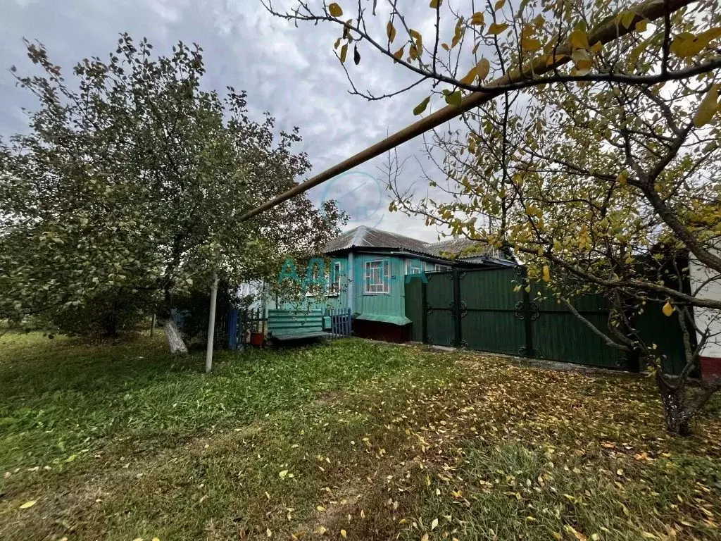 Дом в Белгородская область, Новооскольский муниципальный округ, с. ... - Фото 1