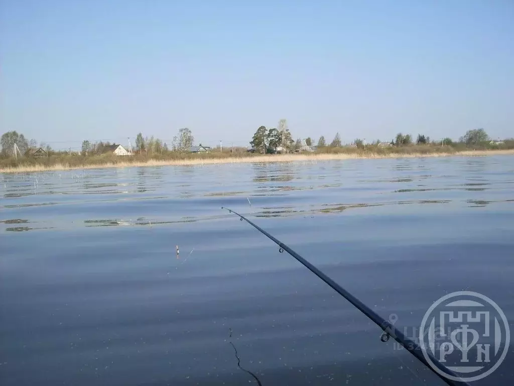 Участок в Ленинградская область, Всеволожский район, Рахьинское ... - Фото 2