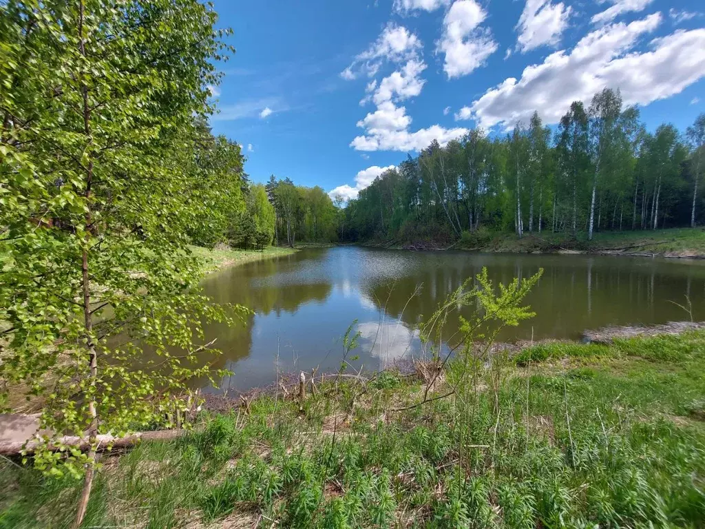 Участок в Тульская область, Заокский район, Страховское с/пос, ... - Фото 0