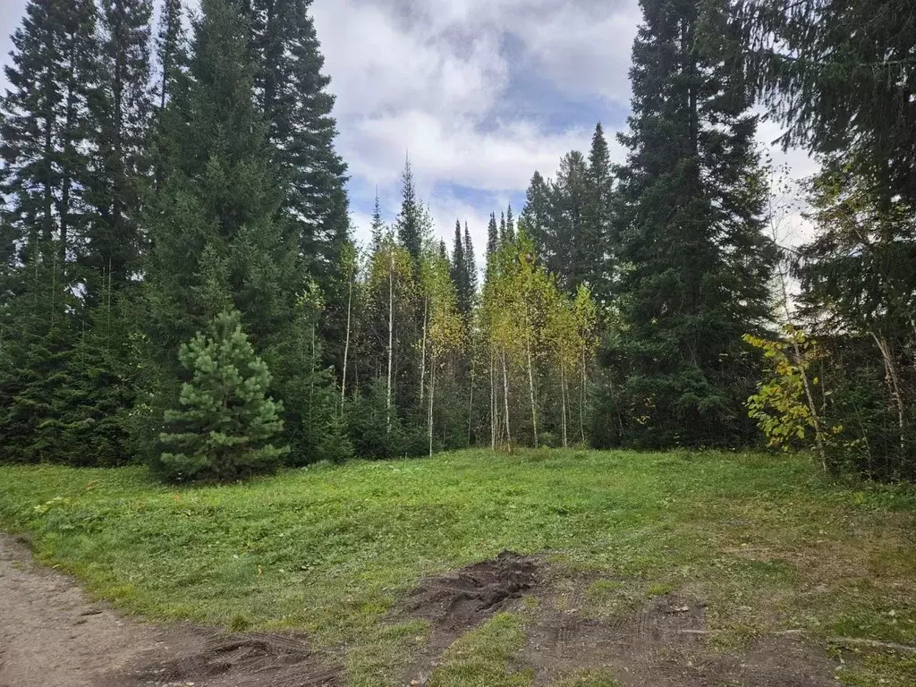 Участок в Свердловская область, Ревда городской округ, пос. Гусевка ... - Фото 0