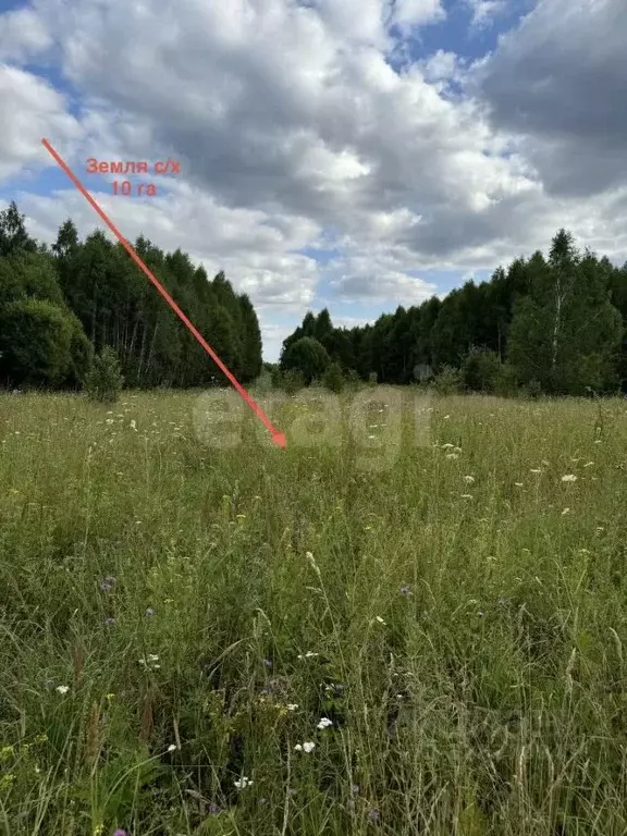 Участок в Тульская область, Дубенский район, Воскресенское с/пос, д. ... - Фото 1