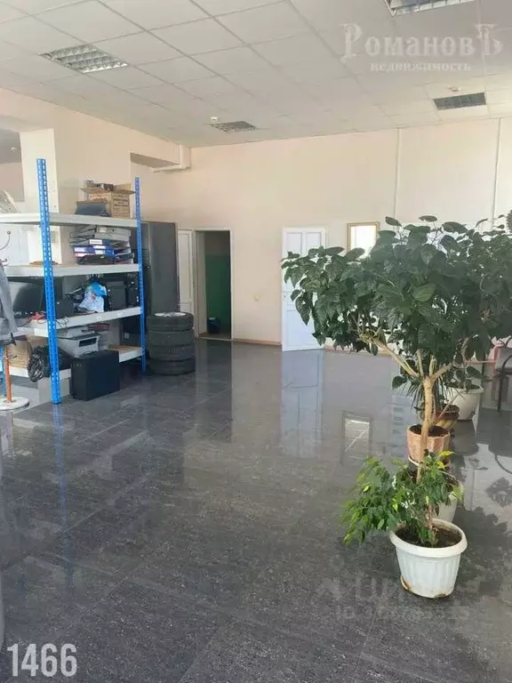 Помещение свободного назначения в Ставропольский край, Ставрополь ... - Фото 1
