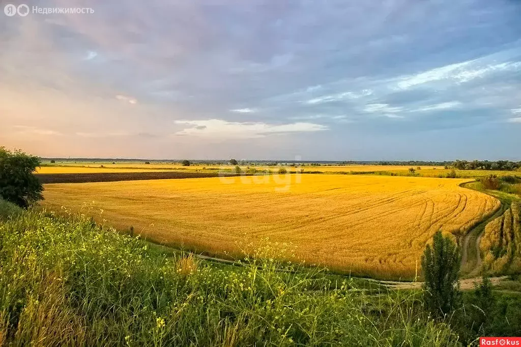 Участок в Пролетарское сельское поселение, СТ Донское (6 м) - Фото 1