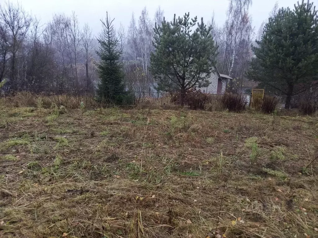 Участок в Смоленская область, Смоленский муниципальный округ, ... - Фото 2