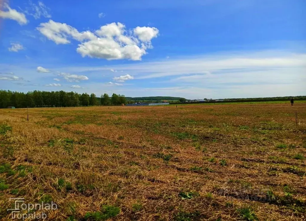 Участок в Башкортостан, Иглинский район, Калтымановский сельсовет, с. ... - Фото 1