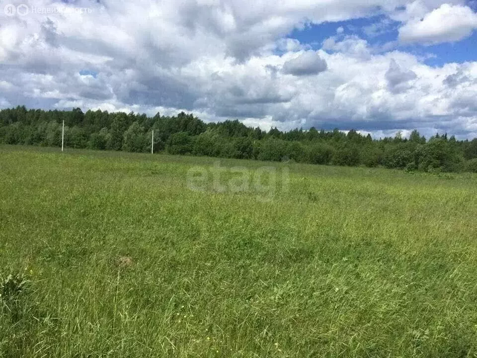 Участок в Пермский край, Краснокамский муниципальный округ, посёлок ... - Фото 2