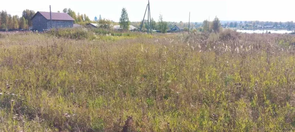 Участок в Свердловская область, Невьянский городской округ, с. Шурала ... - Фото 1