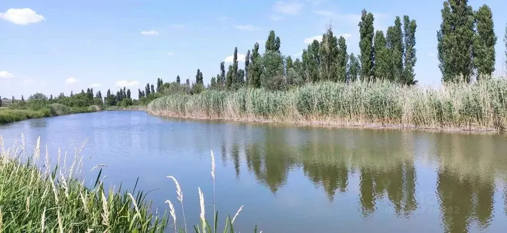 Участок в Ростовская область, Неклиновский район, с. Троицкое ул. ... - Фото 1
