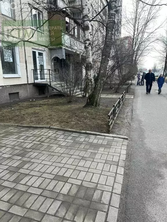 Помещение свободного назначения (33 м) - Фото 0