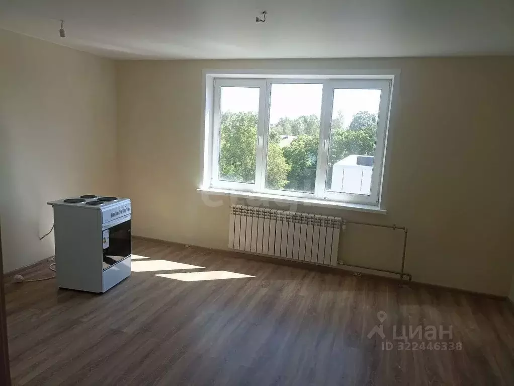 Студия Псковская область, Остров ул. Калинина, 82А (25.7 м) - Фото 0