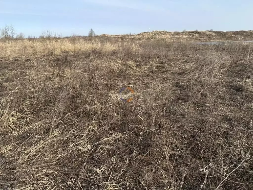 Участок в Новгородская область, Новгородский район, Ракомское с/пос, ... - Фото 2