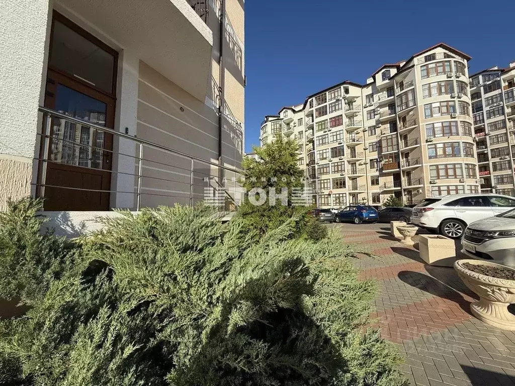 Помещение свободного назначения в Краснодарский край, Геленджик ... - Фото 2