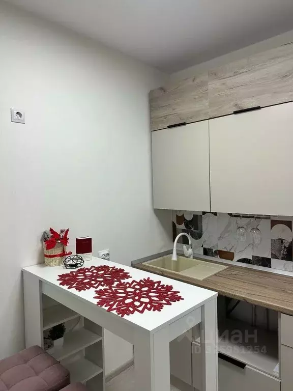 Студия Санкт-Петербург пос. Шушары, ул. Чудовская, 14к1 (22.6 м) - Фото 1