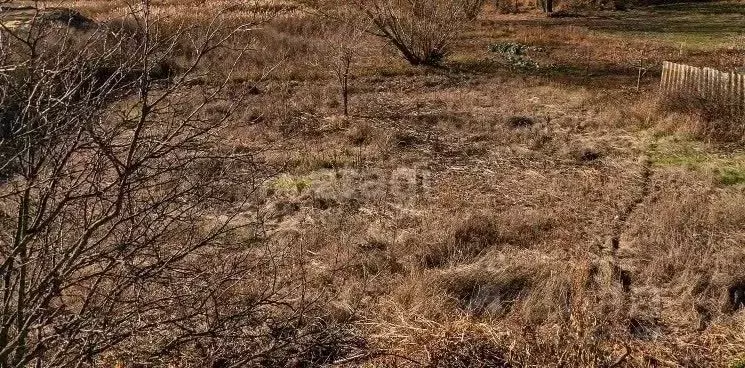 Участок в Воронежская область, с. Новая Усмань ул. Весенняя (12.0 ... - Фото 0
