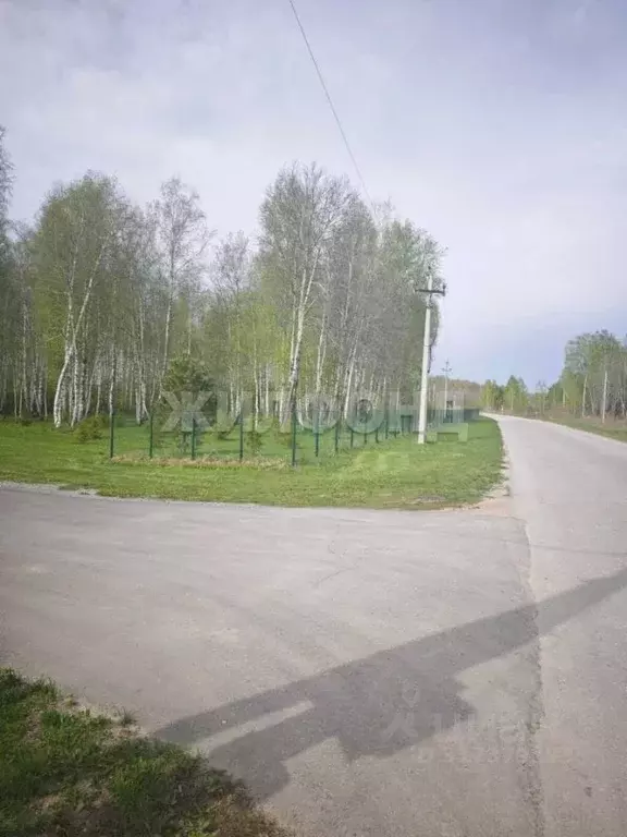 Участок в Новосибирская область, Новосибирский район, Кудряшовский ... - Фото 1