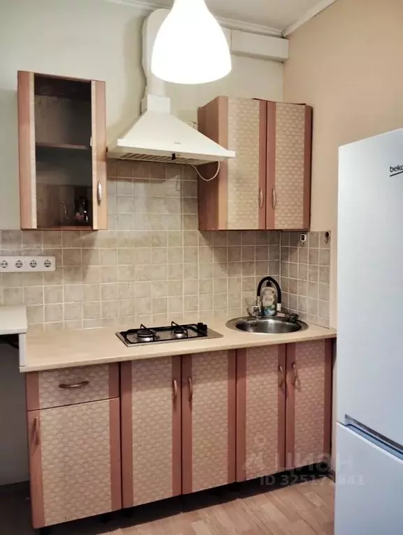 1-к кв. Московская область, Ленинский городской округ, д. Горки 1А ... - Фото 2