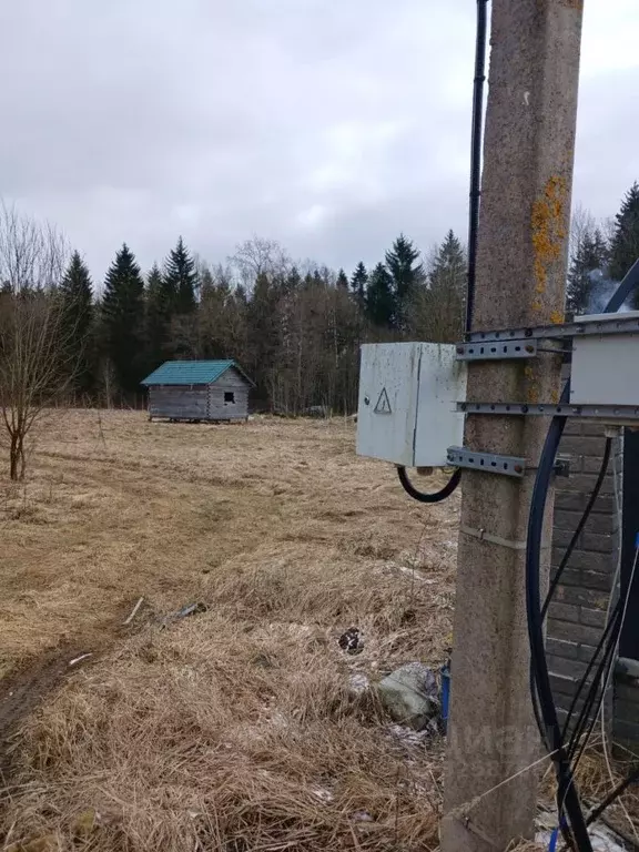 Участок в Ленинградская область, Волосово Комсомольская ул., 68 (11.0 ... - Фото 2