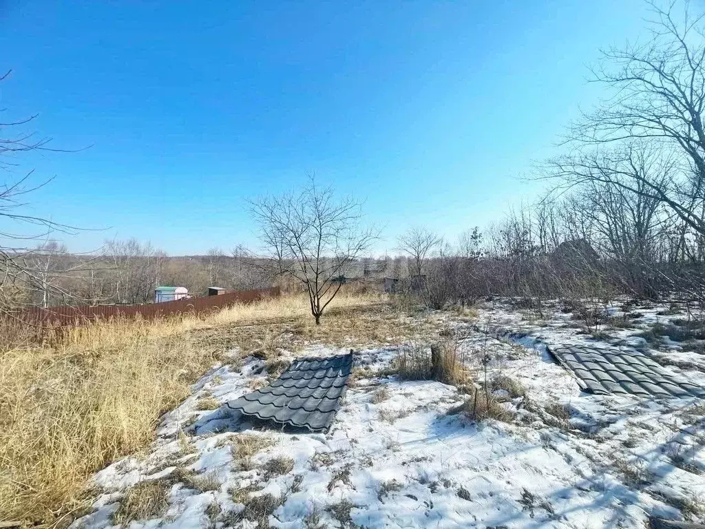 Дом в Приморский край, Надеждинский район, Аргус СНТ  (30 м) - Фото 0