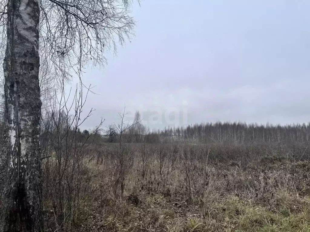 Участок в Смоленская область, Смоленский муниципальный округ, д. ... - Фото 1