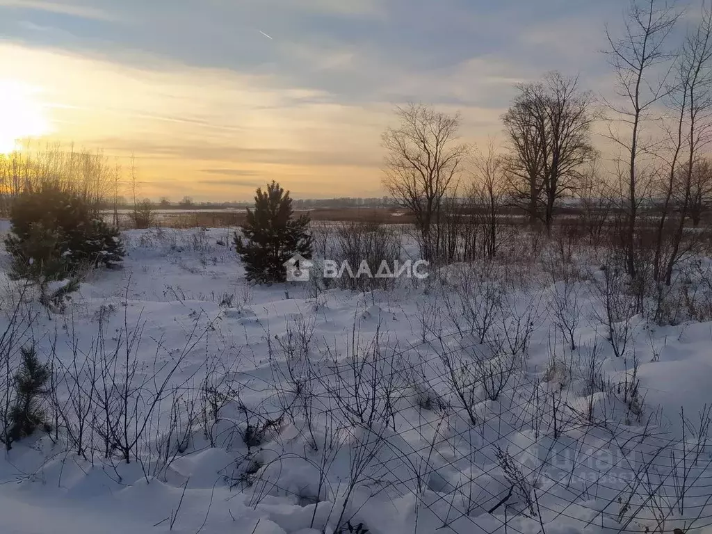 Участок в Татарстан, Нижнекамский район, Каенлинское с/пос, д. ... - Фото 0