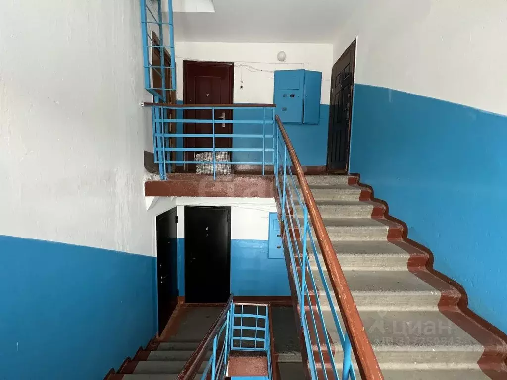 3-к кв. Курганская область, Кетовский муниципальный округ, с. Садовое ... - Фото 1