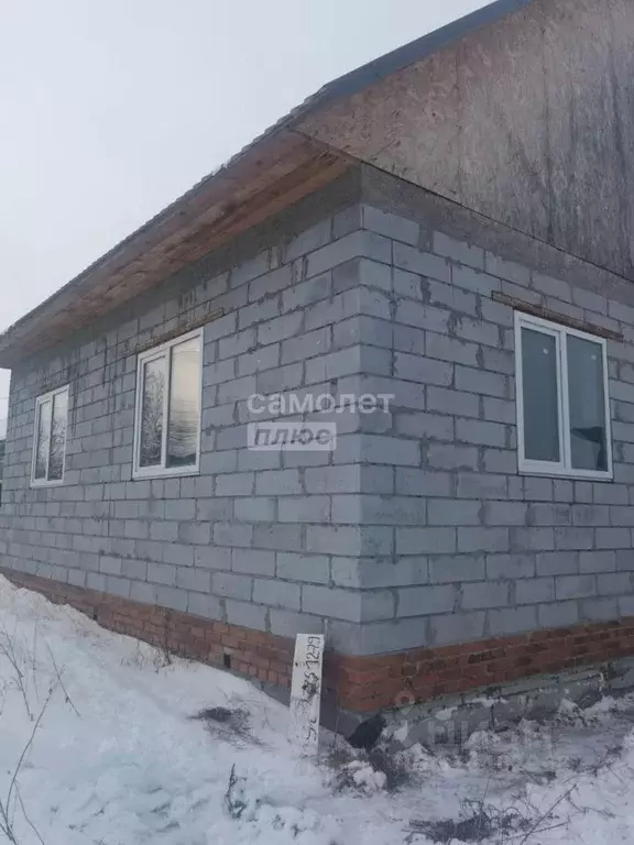 Дом в Тюменская область, Нижнетавдинский район, с. Велижаны ул. ... - Фото 0