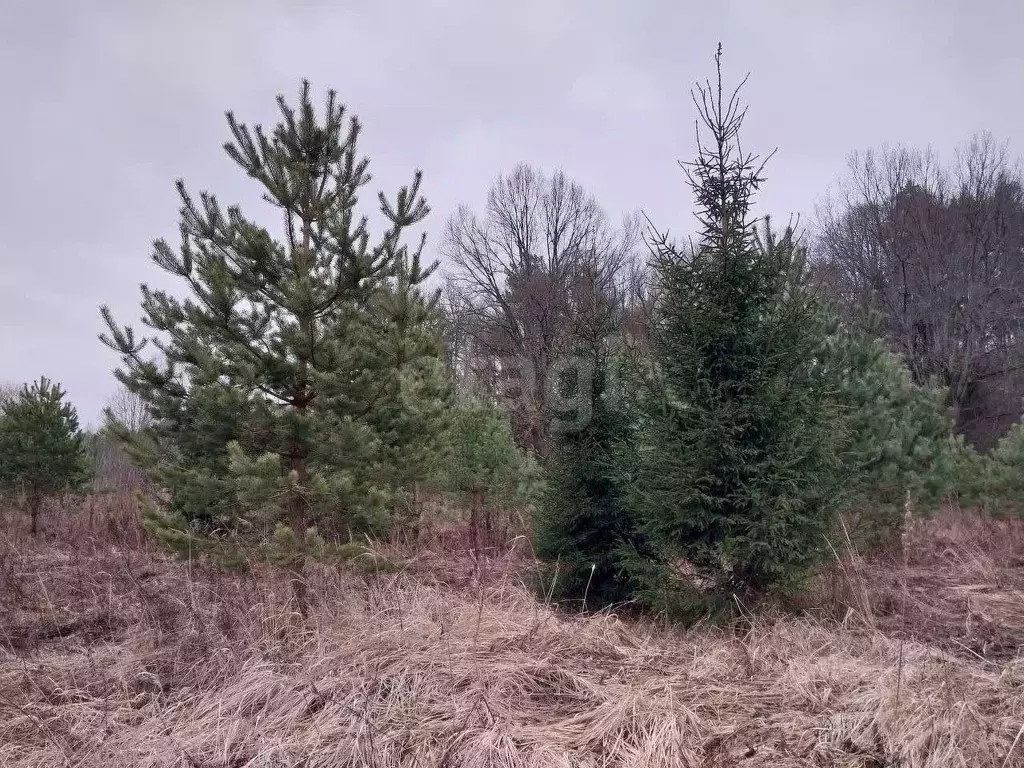 Участок в Калужская область, Перемышльский район, Ахлебинино с/пос, ... - Фото 1