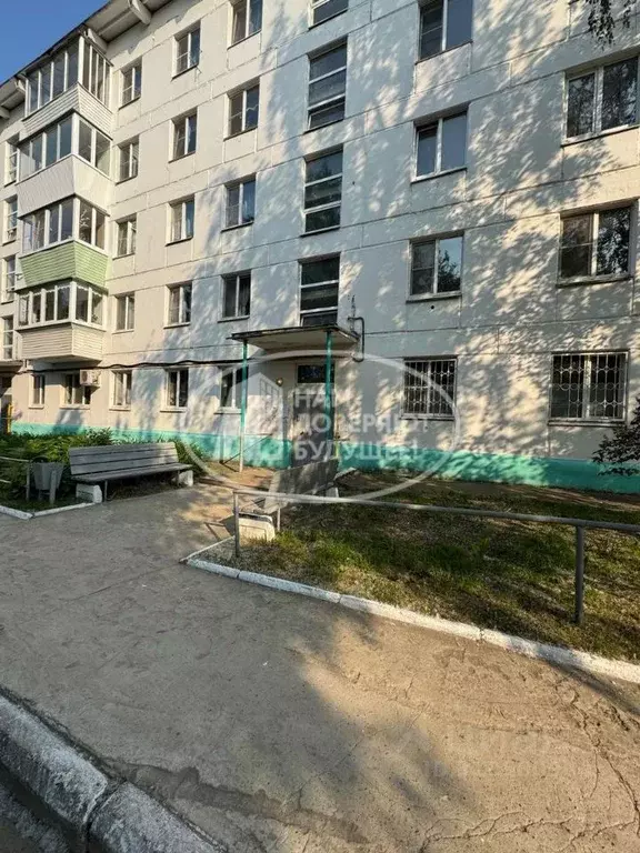 1-к кв. Пермский край, Чайковский ул. Гагарина, 20 (31.4 м) - Фото 0