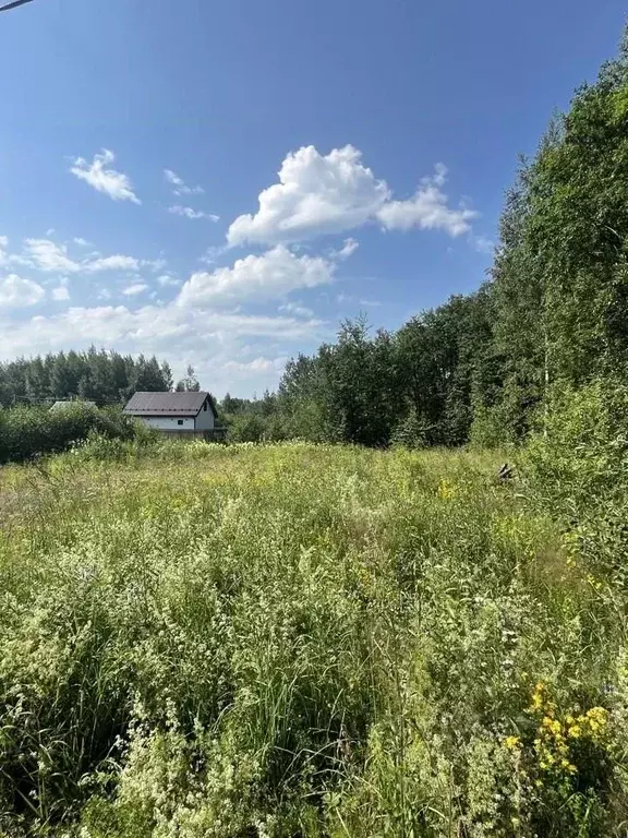 Участок в Вологодская область, Череповец ул. Ванчикова (8.0 сот.) - Фото 0