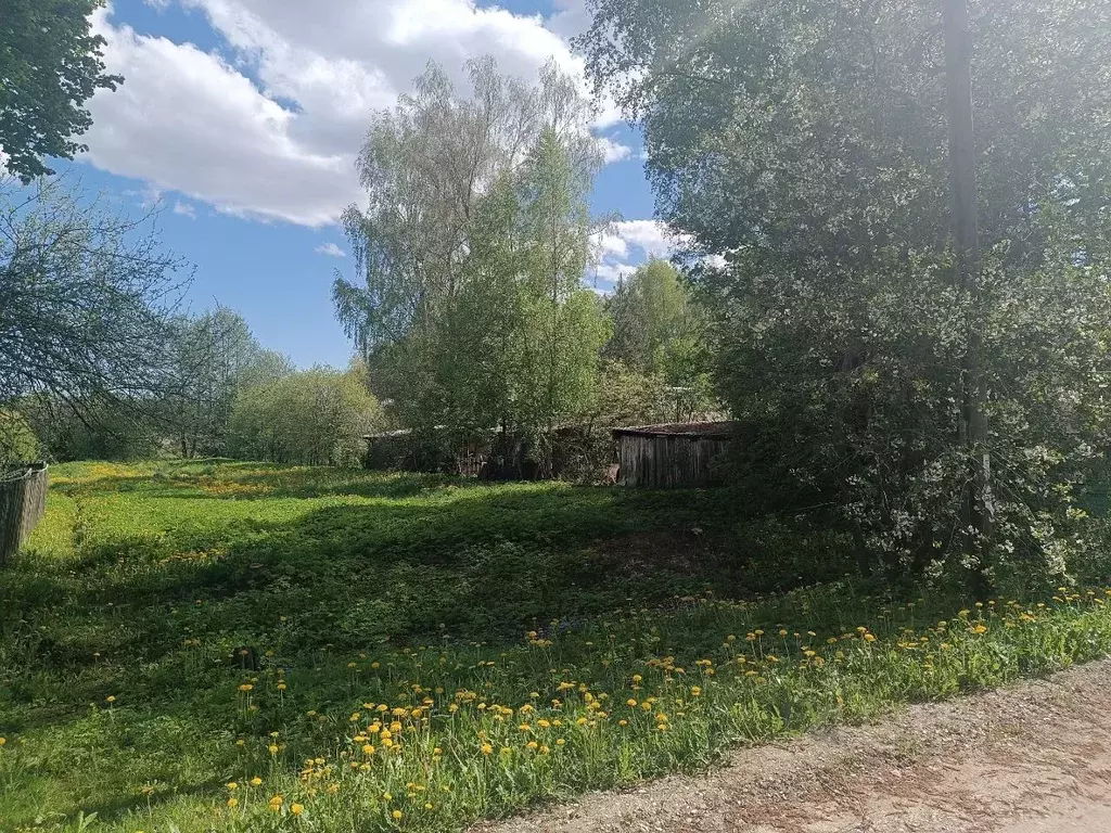 Участок в Новгородская область, Новгородский район, Ракомское с/пос, ... - Фото 1