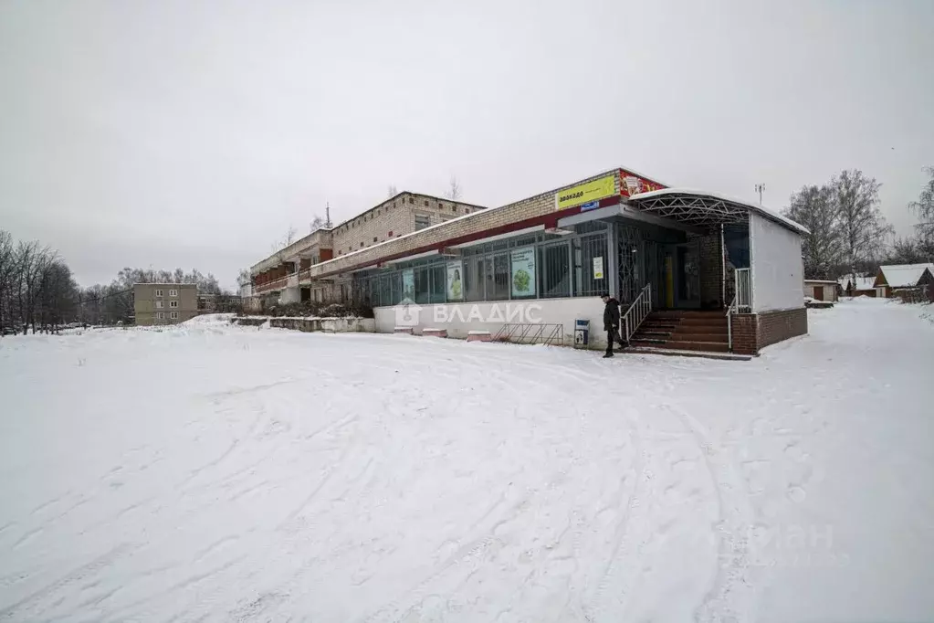 Помещение свободного назначения в Нижегородская область, Городецкий ... - Фото 0