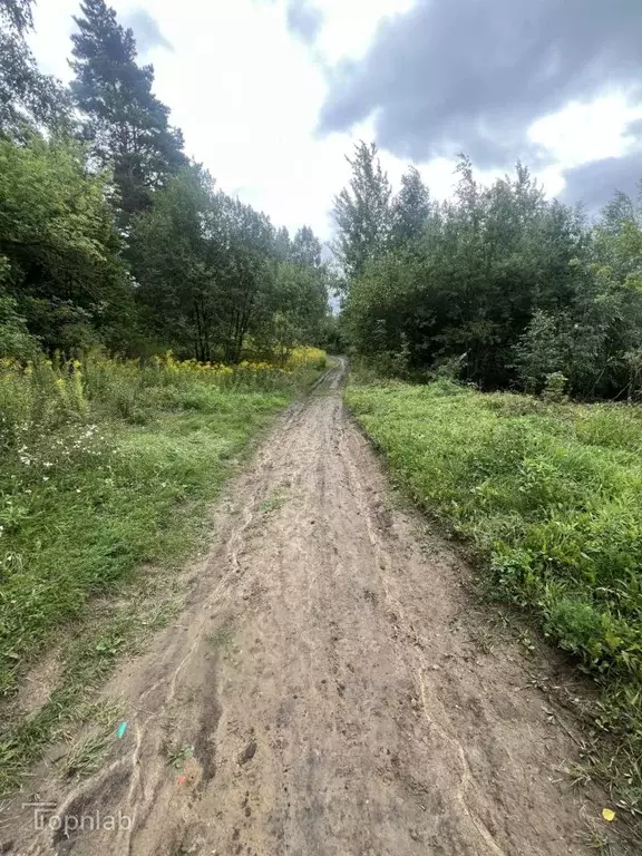 Участок в Орловская область, Орел Самолет СНТ,  (4.0 сот.) - Фото 2