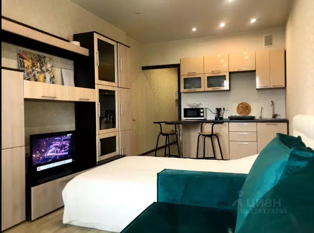 Студия Санкт-Петербург Рыбацкий просп., 18к2 (30.0 м) - Фото 1