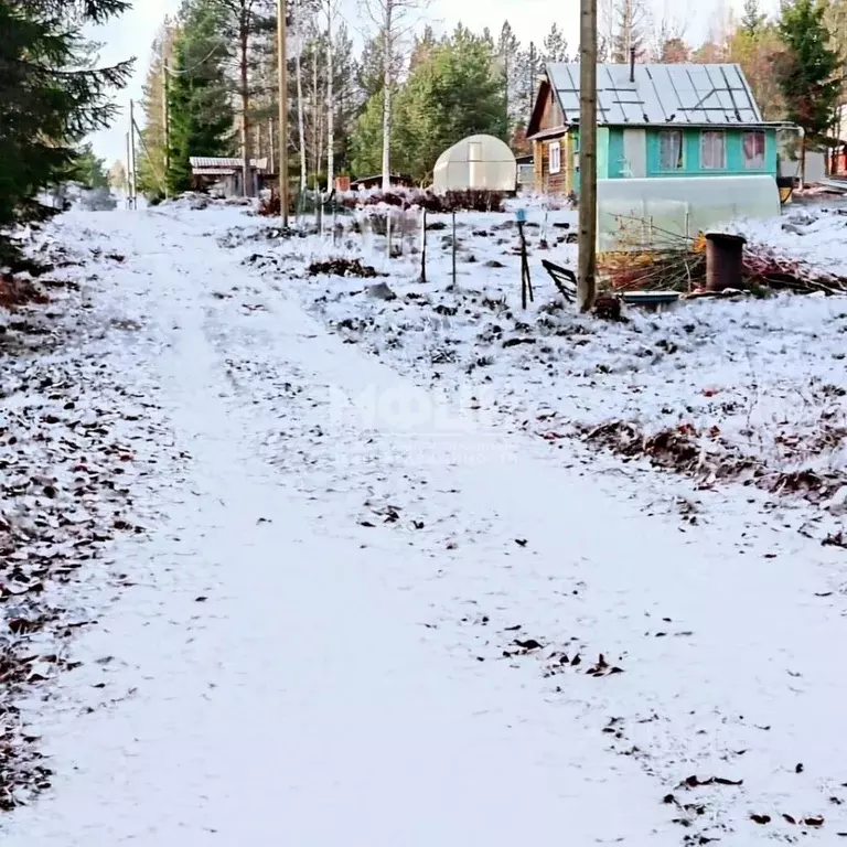 Участок в Карелия, Прионежский район, Деревянское с/пос, Малахит СНТ  ... - Фото 1