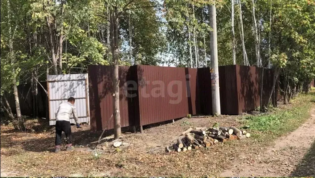 Участок в Новосибирская область, Искитимский район, Морозовский ... - Фото 0