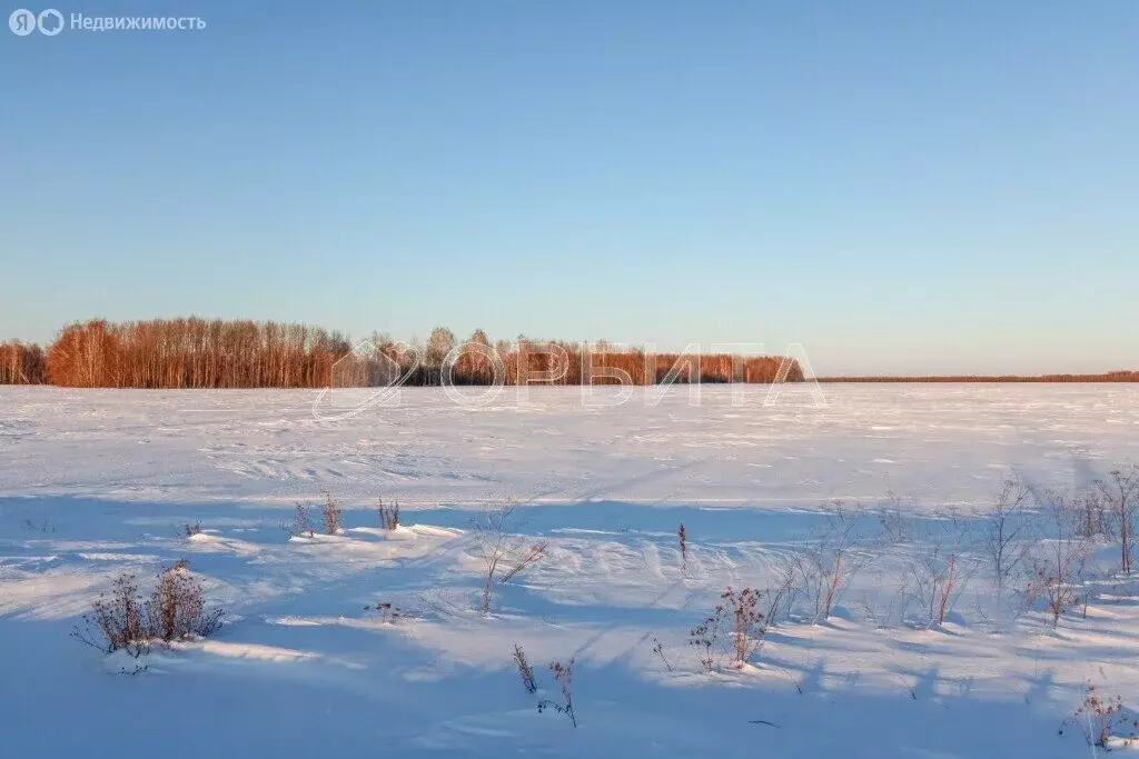 Участок в Тюменский район, село Горьковка (15 м) - Фото 0