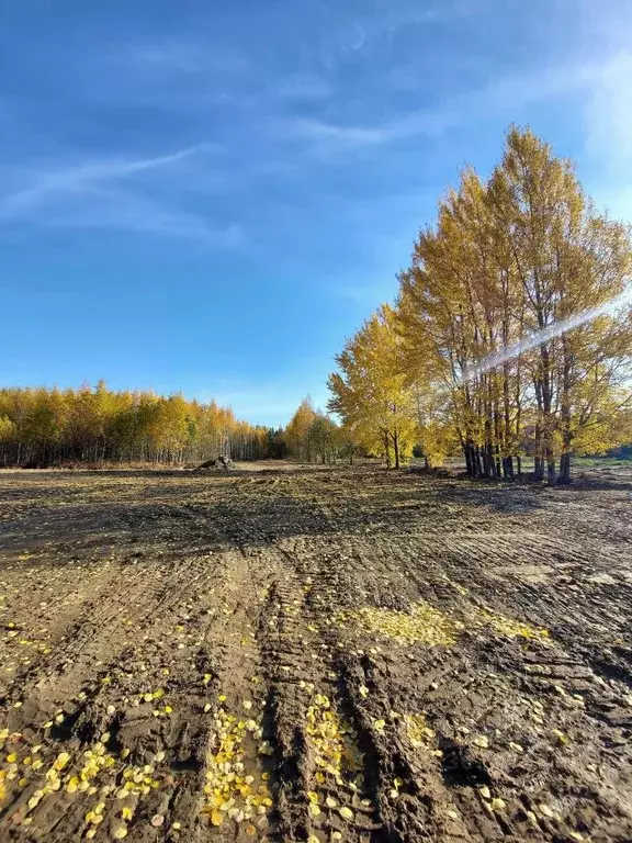 Участок в Ленинградская область, Приозерский район, Сосновское с/пос, ... - Фото 0