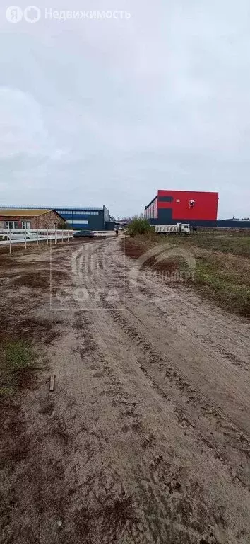 Участок в Ямное, Просторная улица, 27 (12 м) - Фото 1