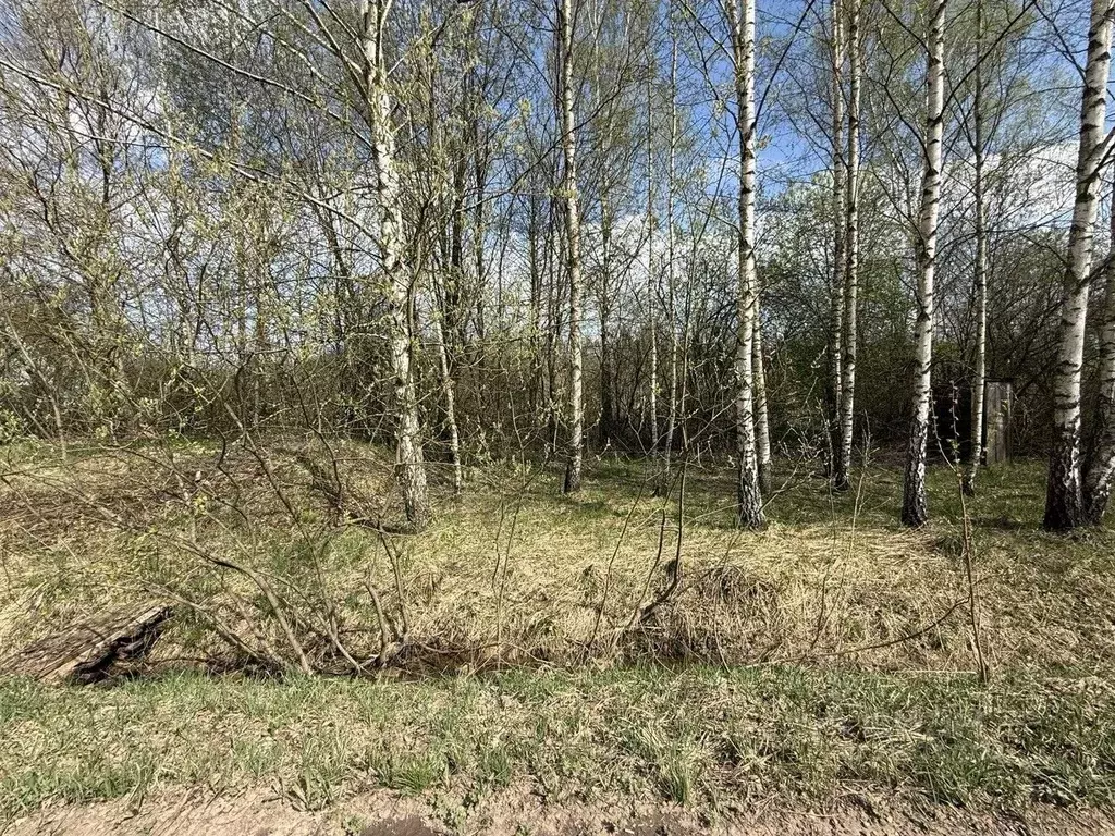 Участок в Московская область, Голицыно Одинцовский городской округ, ... - Фото 1