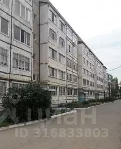 Помещение свободного назначения в Башкортостан, Янаул ул. Ленина, 26 ... - Фото 0