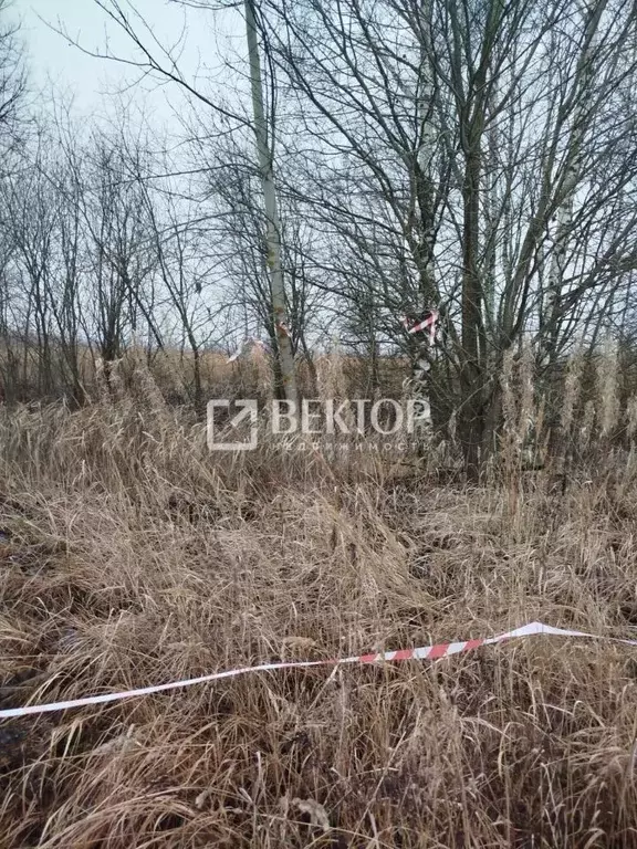 Участок в Костромская область, Кострома ул. Счастливая (11.77 сот.) - Фото 2