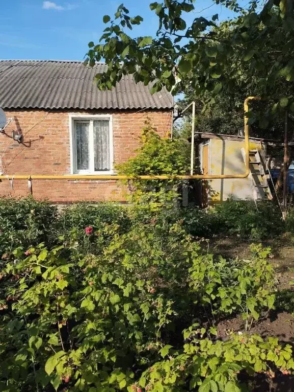 1-к кв. Белгородская область, Новооскольский муниципальный округ, пос. ... - Фото 1